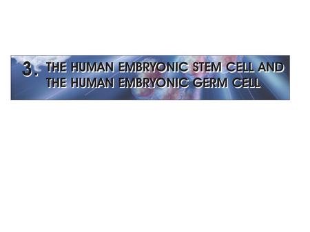 OVERVIEW 1998 - James Thomson and his colleagues: the first derivation of human ES cells - John Gearhart: the first derivation of human EG cells Timeline.