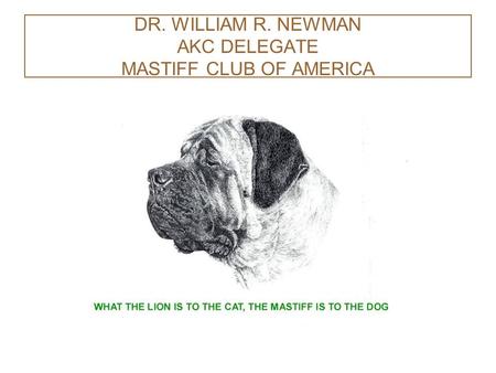 DR. WILLIAM R. NEWMAN AKC DELEGATE MASTIFF CLUB OF AMERICA.