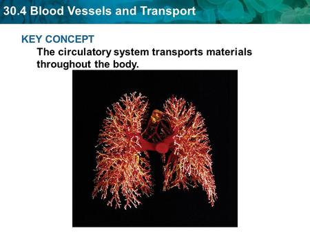 Arteries carry blood away from the heart. blood under great pressure