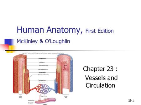 Human Anatomy, First Edition McKinley & O'Loughlin