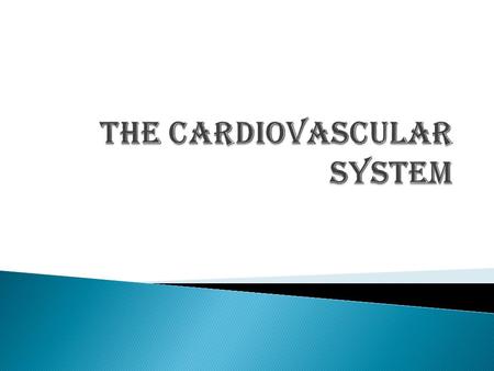 The Cardiovascular System