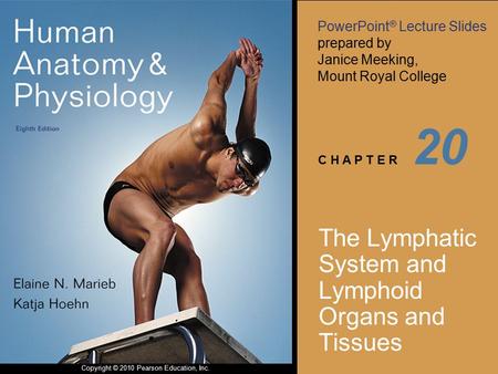 The Lymphatic System and Lymphoid Organs and Tissues