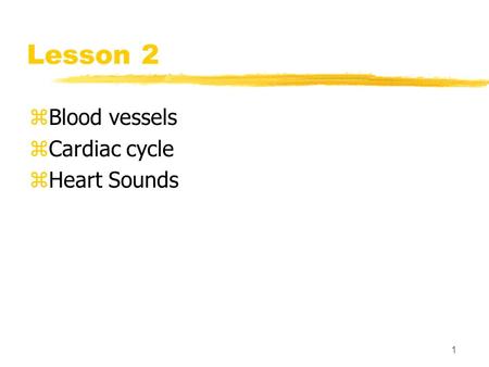 1 Lesson 2 zBlood vessels zCardiac cycle zHeart Sounds.