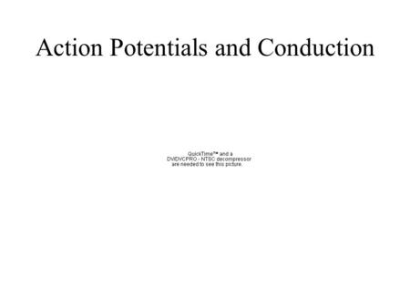 Action Potentials and Conduction. Neuron F8-2 Axons carry information from the cell body to the axon terminals. Axon terminals communicate with their.