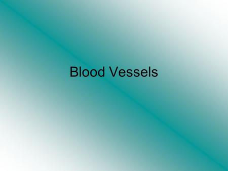 Blood Vessels. Blood Vessels The vascular network through which blood flows to all parts of the body comprises of arteries, arterioles, capillaries, veins.