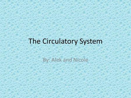 The Circulatory System By: Alek and Nicole. The blood flow of the circulatory system The blood starts to get pumped from the left ventricle. It pumps.