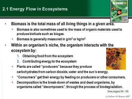 (c) McGraw Hill Ryerson 2007 2.1 Energy Flow in Ecosystems Biomass is the total mass of all living things in a given area.  Biomass is also sometimes.