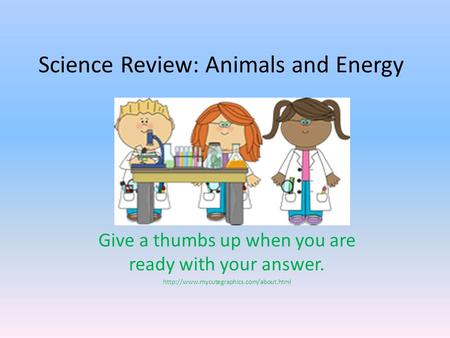 Science Review: Animals and Energy Give a thumbs up when you are ready with your answer.