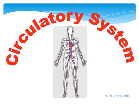 S. MORRIS 2006. Main functions: 1.Transports gases (from the respiratory system), nutrient molecules and waste materials (from the digestive system) 2.Regulates.