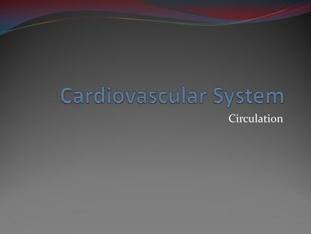 Cardiovascular System