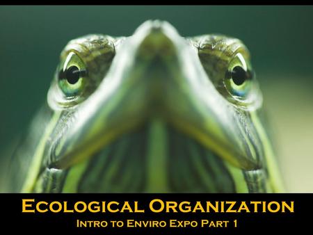 Ecological Organization Intro to Enviro Expo Part 1.