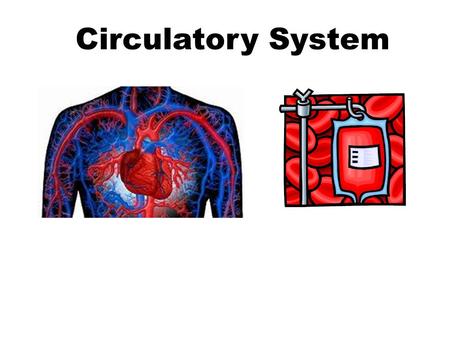 Circulatory System.