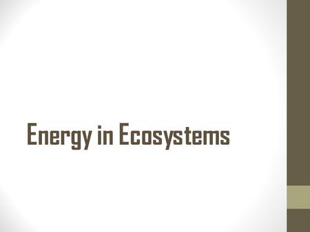 Energy in Ecosystems. Review Vocabulary Producer – Makes own food, aka autotrophs. Herbivore – Eats only plants. Carnivore – Eats only animals. Omnivore.