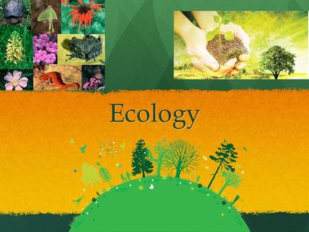 Ecology.