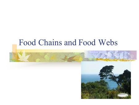 Food Chains and Food Webs. I. Autotrophs: Any organism that can make their own food. a. Photosynthesis b. Chemosynthesis Examples: algae, trees, grass,