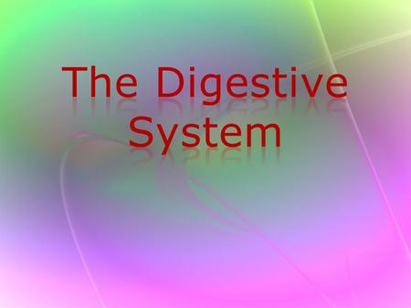 The Digestive System.