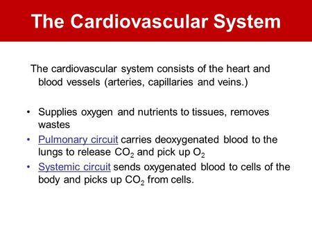 The Cardiovascular System