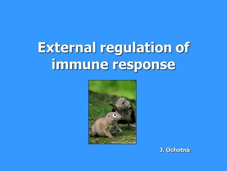 External regulation of immune response J. Ochotná.