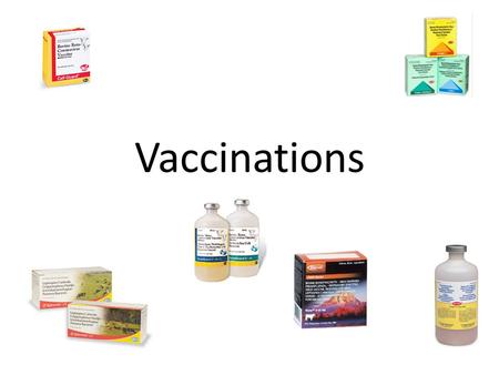 Vaccinations. Remember! Vaccination does not give absolute 100% protection to each and every animal or every herd Vaccination does not replace good biosecurity/biocontainment.