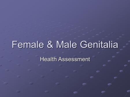 Female & Male Genitalia