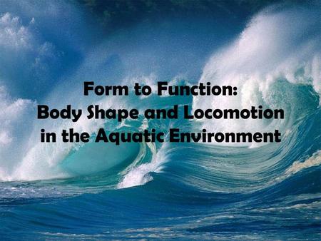 Form to Function: Body Shape and Locomotion in the Aquatic Environment.