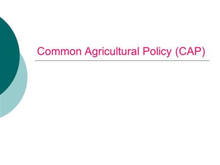 Common Agricultural Policy (CAP)