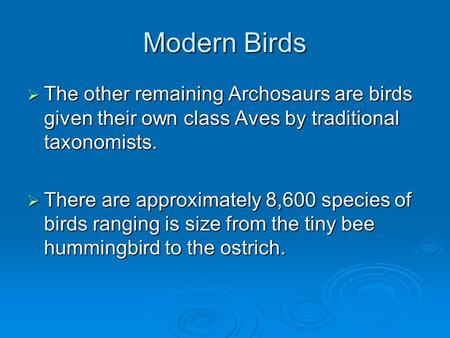 Modern Birds  The other remaining Archosaurs are birds given their own class Aves by traditional taxonomists.  There are approximately 8,600 species.