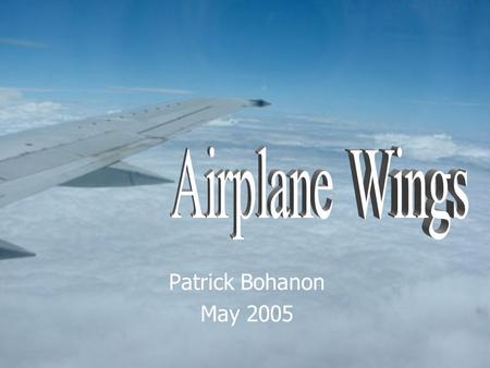 Patrick Bohanon May 2005. Wing Shape The top of the wing is curved. The bottom of the wing is flat.