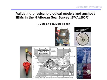 Validating physical-biological models and anchovy IBMs in the N Alboran Sea. Survey IBMALBOR1 SESAME. WP3-WP5 I. Catalan & B. Morales-Nin.