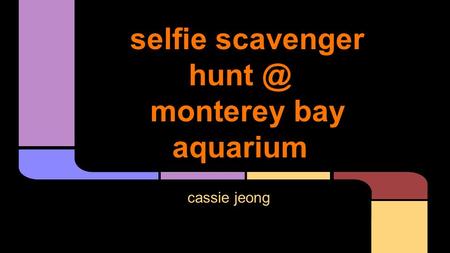 Selfie scavenger monterey bay aquarium cassie jeong.