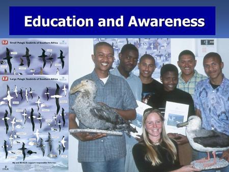 Education and Awareness Education and Awareness. Awareness materials should contain: Are seabirds really of conservation concern or is this an animal.