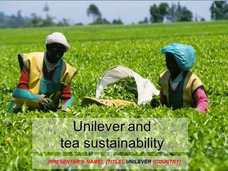 Unilever and tea sustainability [PRESENTER’S NAME], [TITLE], UNILEVER [COUNTRY]