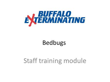 Bedbugs Staff training module. What is a Bedbug? A true vampire: Feed at night Feed only on blood Need to be “invited in” A female bedbug Note the round.