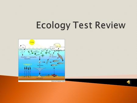 Decomposers 1. Sun 2. Producers 3. Herbivores 4. Carnivores 5. Scavengers.