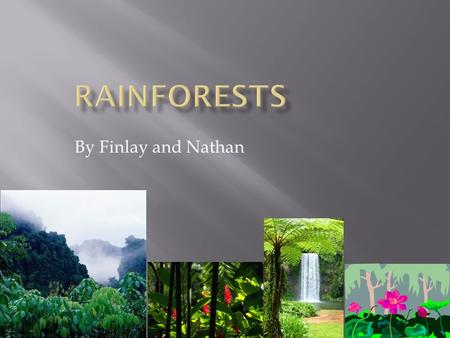 By Finlay and Nathan. Biggest Rainforest Second biggest Rainforest Third biggest Rainforest The Amazon rainforest. The Daintree Rainforest The Congo Rainforest.