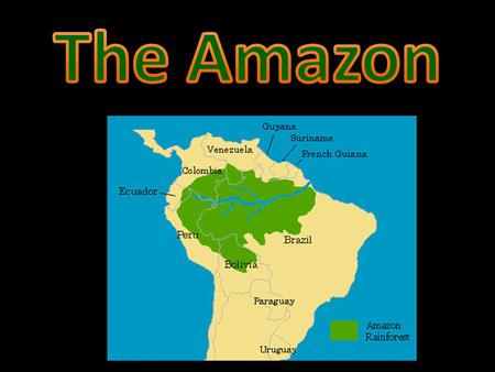 R ainforests once covered 14% of the earth's land surface; now they cover only 6%.