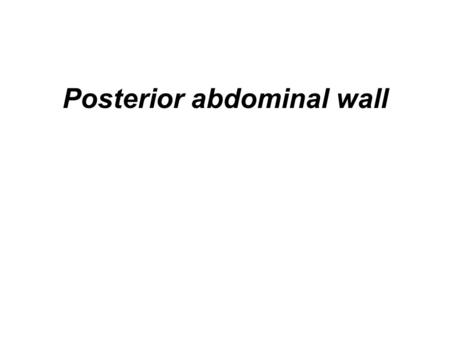 Posterior abdominal wall