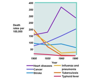 400 350 300 250 Death rates per 100,000 200 150 100 50 1900 1930 1960 1990 Year Heart diseases Influenza and Cancer pneumonia Stroke Tuberculosis Typhoid.