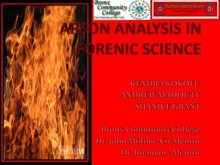 What Is An Arson Fire? Arson Fire Statistics YEARSFIRESDEATHSLOSS IN MILLIONS 1998470 1999370 2000505 2001330 2002350 2003305 2004320 2005315 2006305.