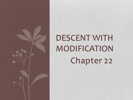 Chapter 22 DESCENT WITH MODIFICATION. Evolution can be defined by Darwin’s phrase descent with modification Evolution can be viewed as both a pattern.