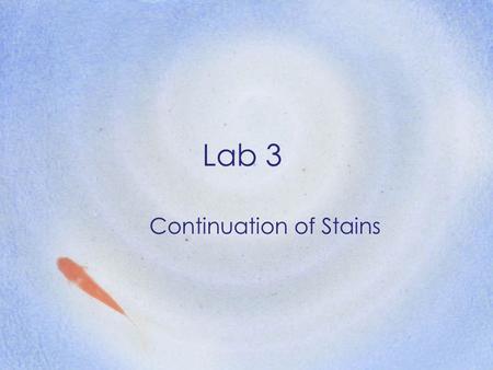 Lab 3 Continuation of Stains. Gram Unknown Each student gets one unknown tube of bacteria Gram stain and record –Your name –Unknown number –Gram reaction.