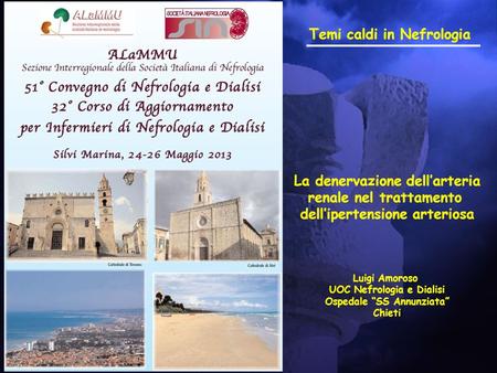 Temi caldi in Nefrologia La denervazione dell’arteria renale nel trattamento dell’ipertensione arteriosa Luigi Amoroso UOC Nefrologia e Dialisi Ospedale.