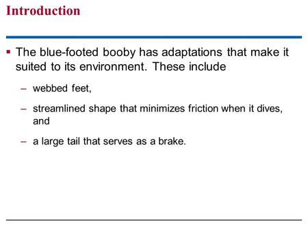  The blue-footed booby has adaptations that make it suited to its environment. These include –webbed feet, –streamlined shape that minimizes friction.