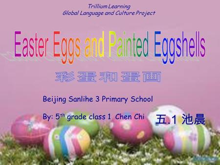 Trillium Learning Global Language and Culture Project Beijing Sanlihe 3 Primary School By: 5 th grade class 1 Chen Chi.