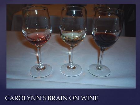 CAROLYNN’S BRAIN ON WINE. TOP 5 STATES FOR WINEGRAPES IN 2008.