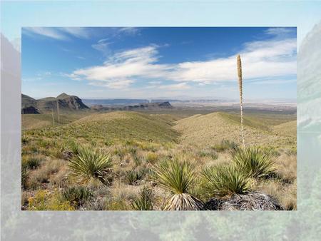 Protected Areas The increasing pressure from anthropogenic stressors makes preservation of natural areas crucial for the preservation of biodiversity.