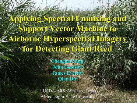 Chenghai Yang 1 John Goolsby 1 James Everitt 1 Qian Du 2 1 USDA-ARS, Weslaco, Texas 2 Mississippi State University Applying Spectral Unmixing and Support.