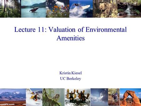 Lecture 11: Valuation of Environmental Amenities