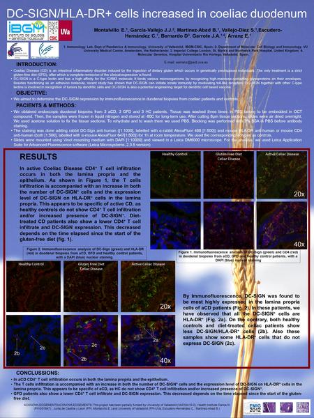 DC-SIGN/HLA-DR+ cells increased in coeliac duodenum 1. Immunology Lab, Dept of Paediatrics & Immunology, University of Valladolid, IBGM-CSIC, Spain; 2.