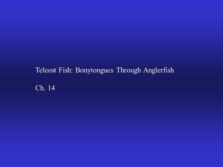 Teleost Fish: Bonytongues Through Anglerfish